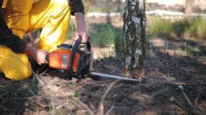Best Weed Control  in Alpharetta, GA