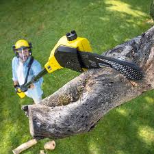 Best Tree Health Inspection  in Alpharetta, GA