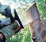 Best Root Management and Removal  in Alpharetta, GA