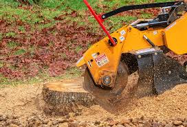 Professional Tree Care in Alpharetta, GA